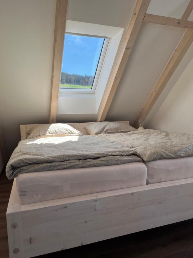 U Kralika, Apartman H, 3 Samostatne Loznice - Mezonet, Vlastni Parkovani, 50 Metru Od Vleku , Vysousece Bot V Lyzarne Dolní Morava Exteriér fotografie